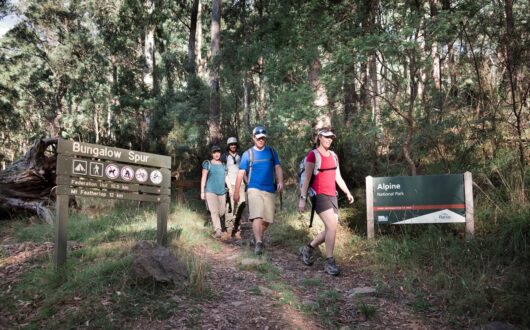 Three bushwalkers at the beginning of the Bungalow Walking track in Harrietville